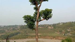 My birth place Bijaypur Dharan