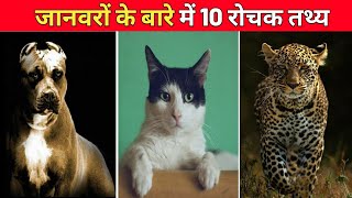 Top 10 Amazing facts about Animals 🐵 #shorts It's Fact | Facttechz | Mr Factpur