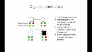 Non-Mendelian Inheritance Patterns by B. Korf | OPENPediatrics