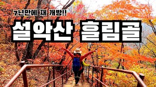 [4K] 7년만에 개방된 설악산 단풍명소 흘림골~주전골 6.5km | 설악산 3대 단풍🍁산행지 | 가을산행 | 최고의 전망 등선대 | 오색약수| 등산 | 100대명산| 등산브이로그