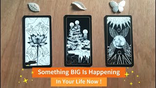 You Are On The Edge of Something BIG !  #pickacardreading Tarot Reading