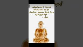 Buddha words