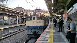 [米軍燃料輸送 単機回送] 4月19日分倍河原駅 単8494レ EF65 2097