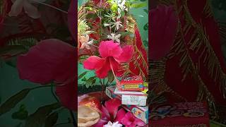 Jai jai tulsi mahrani#song#viral#trending #renu bauriya.like and subscribe 🌹🙏