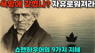 쇼펜하우어 - 욕망에서 자유로워지는 9가지 지혜 (비관주의) #지혜의문 #쇼펜하우어 #자유 #비관주의 #자기계발 #욕망초월 #육아스트레스 #인생명언 #마음챙김 #철학