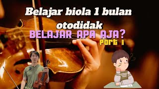 Belajar Biola Otodidak Pemula 1 Bulan MUDAH | Part 1