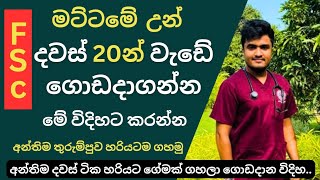 A/L කෙලවෙලා ඉන්න උන්ට මේ ක්‍රමේ පට්ට සාර්ථකයි.! | අන්තිම දවස්ටිකේ ගේමක් ගහලා ගොඩදාන විදිහ |2024 A/L