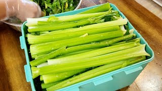 해독제 겨울샐러리!! 이렇게 만들어두면 가족들 건강지키미가 됩니다/샐러리김밥 celery gimbap