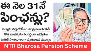 NTR Bharosa Pension Latest Big Update I Old Age Pension Funds Release I ఈ నెల 31 నే పింఛన్లు పంపిణి