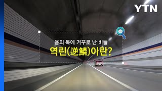 [짤막상식] 용의 목에 거꾸로 난 비늘, 역린(逆鱗)이란? / YTN