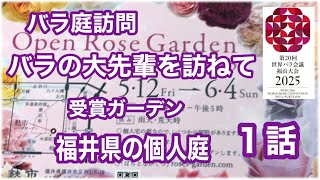 福井県では有名な個人の🌹バラ園を訪問。ばらとながぐつのブログもされています。すばらしいの一言でしたがそこには計算し尽くされた工夫が色々有り驚く事ばかりでした。大量の工夫をシリーズでお届けいたします。