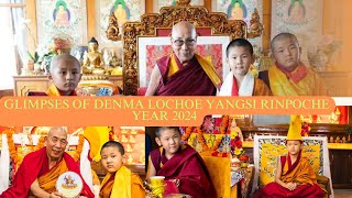 Glimpse of Denma Lochoe Yangsi Tenzin Choeying Rinpoche of the year 2024