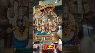 திருவல்லிக்கேணி ஸ்ரீ நரசிம்ம ஸ்வாமி பிரம்மோற்சவம்*| Dhivya Dharisanam