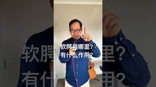 软腭指哪里？ KANG EDU 美聲—聲樂教育频道！ 線上聲樂歌唱班，報名了！報名詳情登陸官網：https://kang-edu.com/