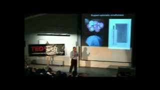 How to leverage your personal source of renewable energy: Volker Schad at TEDxULg