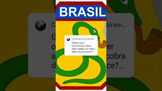 A COBRA VAI FUMAR