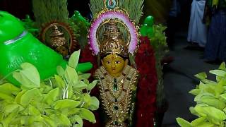 E.CHOKKALINGAPURAM PONGAL