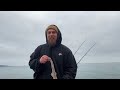 brixham devon uk sea fishing berry head can steve break the curse of the blank 👀