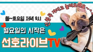 선호라이브TV - #통기타라이브 #매일저녁9시 #실시간 #7080 #함께노래하기