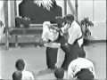 aikido hiroshi ikeda sensei