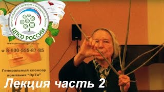 Обрезка и формирование плодовых деревьев и кустарников. Часть 2.