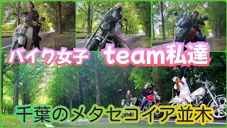 team私達 千葉のメタセコイア並木に行く★勿論パンケーキも