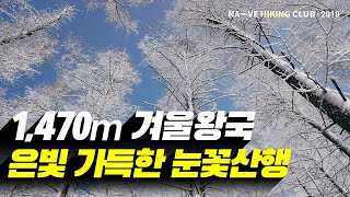 만 할 줄 알았지. 야간산행과 추위까지. 동계 백패킹이 낭만만 있는건 아닙니다. 백패킹, 백운산, 두위봉 , 눈꽃산행 [백패킹, 하이킹]