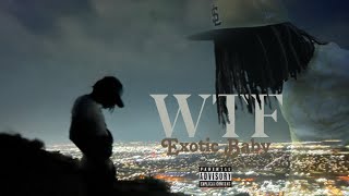 Exotic Baby - WTF