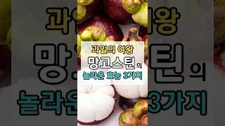 망고스틴의 놀라운 효능 3가지 #건강 #음식