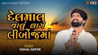 દેલમાલ વાલુ લાગે લીંબોજ માં ||  Leboj Maa New Song || Delmal Valu Lage Limbochma Vishal Hapor 2024