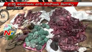 Wild Animals Hunting In Adilabad District | Hunters fleed | NTV