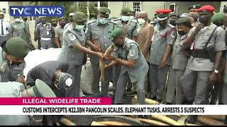 Customs Intercepts N22.3Billion Pangolin Scales, Elephant Tusks, Arrests Three Suspects