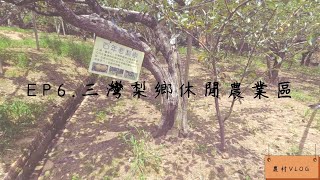 農村Vlog EP6 三灣梨鄉休閒農業區