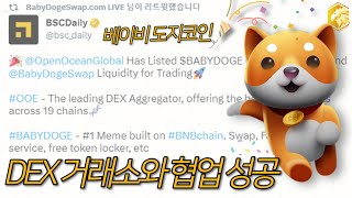 베이비도지코인 DEX 거래소와 협업! 폭락, 폭등 둘 중 하나 가능성 본다! 【베이비도지코인 알아보기】