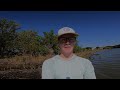 sight fishing in flooded saltwater marsh grass fields for big predator fish 4k