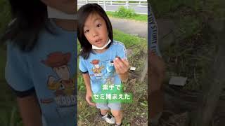 朝の散歩中に素手でセミを捕まえる小1男子 #shorts #夏休み