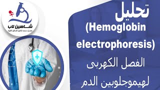 Hb Electrophoresis تحليل