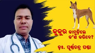 କୁକୁର କାମୁଡ଼ିଲେ କ'ଣ କରିବା ? Dogbite in Odia/Dr Purnachandra Panda