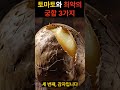 토마토와 최악의 궁합 3가지 절대 함께 먹으면 안되는 이유.