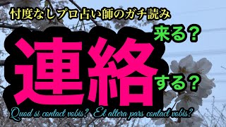 『お相手から、連絡ありそう？自分からの連絡を本音ではどう思う？』【有料級】【タロット占い】ガチンコ！本音！ご視聴注意😱プロ占い師ガチンコ勝負！忖度無し、カード差し替え無し！