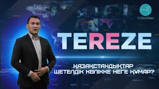 TEREZE | Қазақстандықтар шетелдік көлікке неге құмар?