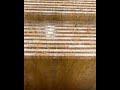 golden travertine tile supplier