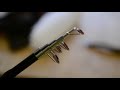 wish unboxing tiny telescopic fishing rod