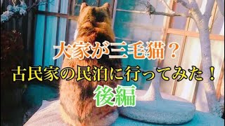 大家が三毛猫？古民家の民泊に行ってみた！！〈後編〉