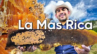 Cómo reubicar abejas #96