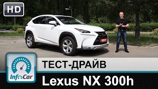 Lexus NX 300h - тест-драйв от InfoCar.ua (Лексус НХ)