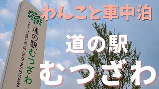 温泉のある道の駅むつざわ／わんこと車中泊／完璧すぎる道の駅に感動☆