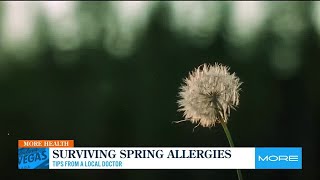 Surviving Spring allergies