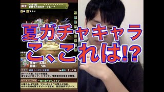 [パズドラ]夏プレーナが熱い!!夏ガチャ新キャラ・究極進化キャラについて考察します。