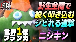 【世界1位 極・ブランカ】狩りの時間ダッ！緩急を付けつつ野生全開でシビれる連撃を鋭く叩き込む ニシキンブランカ｜ ニシキン (ブランカ) vs テリー , ディージェイ , リュウ【スト6】